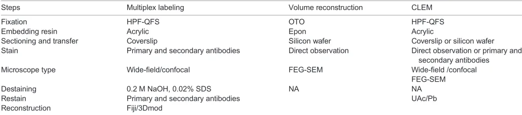Table 1. A simplified summary of AT procedures with the changes in the flow necessary for three preparation strategies