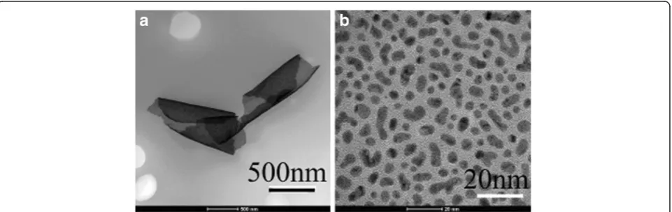 Figure 1 The TEM micrographs of the obtained gold continuous nanofilms. (a) The folded nanofilm