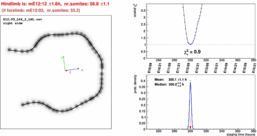 Fig. 2. The staging system. The result of the global fit of a limb as shown in the web application