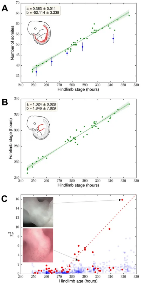 Fig. 6. Correspondence of the staging outcome and other morphologicalquantities.superimposed to the wild-type distribution in blue