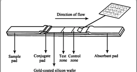 Figure 1 The schematic view of capillary-driven SERS microfluidicchip.