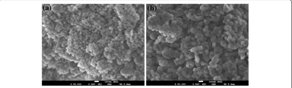 Figure 3 XRD patterns of the MgO samples. They are prepared using (a) oxalic acid and (b) tartaric acid, as a complexing agent.