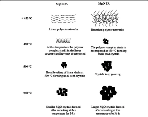 Figure 11 A schematic diagram for crystal growth of the MgO samples.