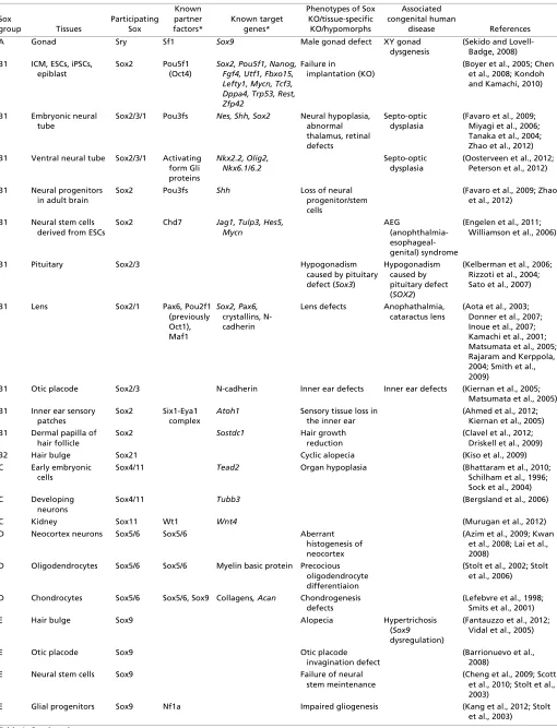 Table 1. Examples of Sox factor participation in the developmental processes 