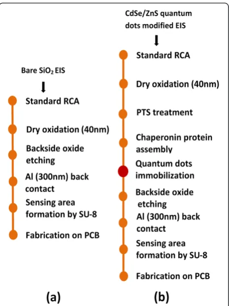Figure 1 Fabrication process flow of EIS sensors. (a) Bare SiO2(b) CdSe/ZnS quantum dot sensors in the EIS structures.