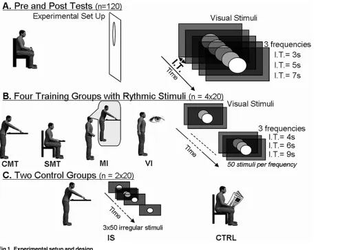 Fig 1. Experimental setup and design.