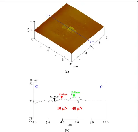 Figure 10 Etching profile of processed parts after 20 min. (a) Surface profile. (b) Section profile (10 and 40 μN).