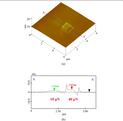Figure 9 Profile of the Si (100) surface processed by diamond tip sliding. (a) Surface profile