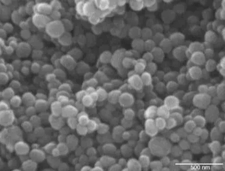 Figure 11:  SEM image of Felodipine loaded solid lipid nanoparticles 