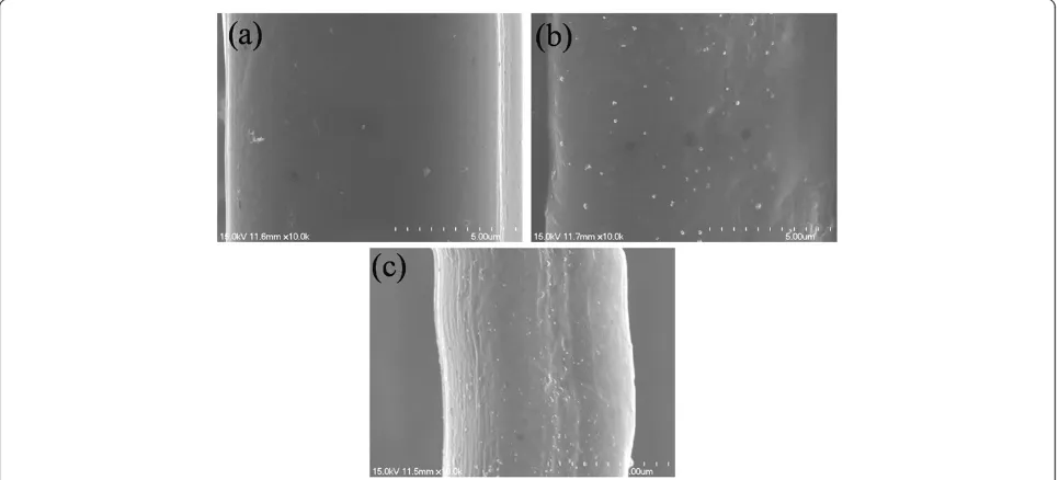 Figure 7 SEM images of the surface of the silk fabrics. (a) Original silk fabric. (b) Nanosilver-treated silk fabric