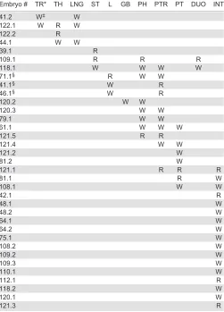 Table 1. Distribution of E16.5 extrahepatic clones