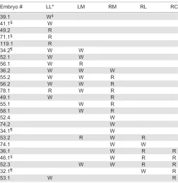 Table 2. Distribution of E16.5 hepatic clones