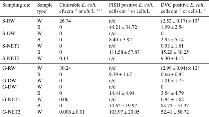 Table 1. Total cultivable, FISH positive and DVC positive (viable) Escherichia coli in the bioﬁlm and water samples