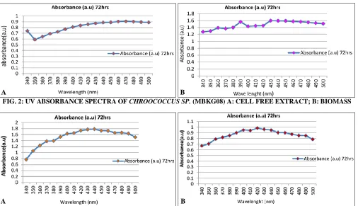 FIG. 1: REDUCTION OF SILVER NITRATE TO NANO SILVER BYMICROCYSTIS SP (MBKG16) SUPERNATANT AND BIOMASS  