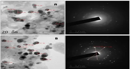 FIG. 5: TEM ANALYSIS AND SELECTED AREA OF ELECTRON DIFFRACTION PATTERN (SAED) A) MICROCYSTIS SP