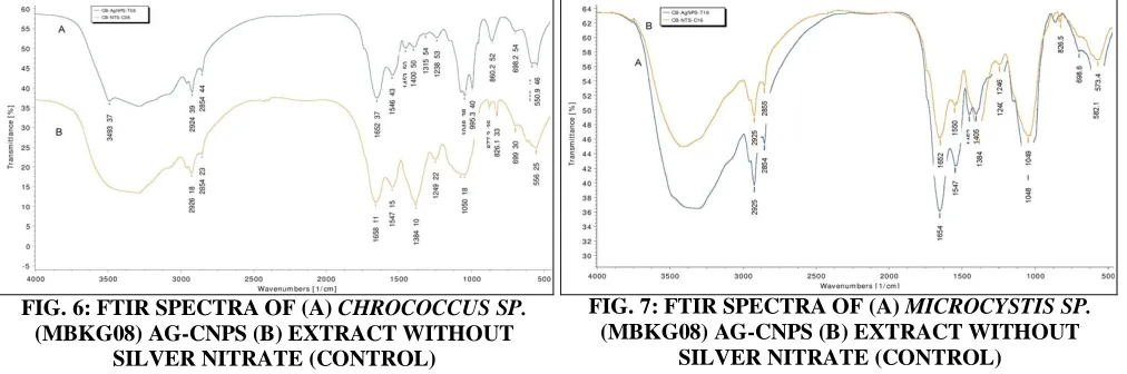 FIG. 6: FTIR SPECTRA OF (A) CHROCOCCUS SP. (MBKG08) AG-CNPS (B) EXTRACT WITHOUT 