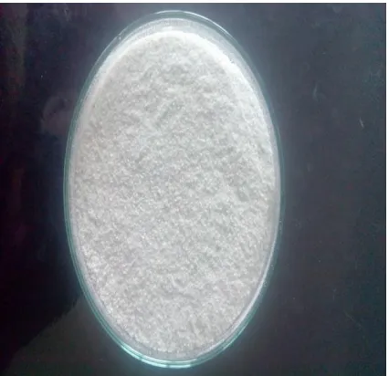 Figure 2: Preliminary solubility studies of Nebivolol physical mixture  