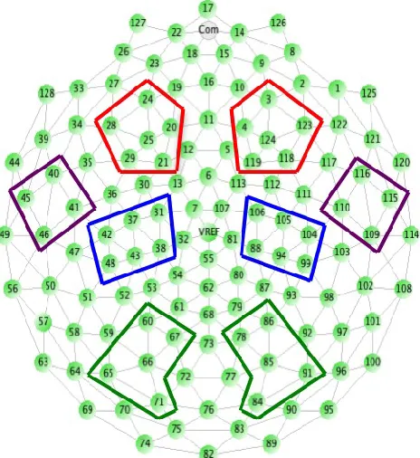 Figure 1: Electrode groups selected for analyses: Occipital (green), Parietal (blue), Temporal 