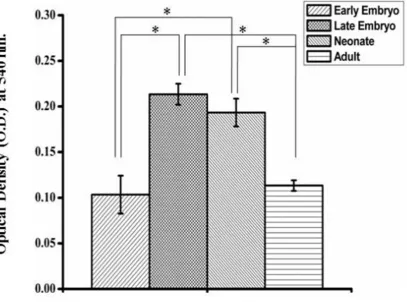 Figure 7: Quantification of phagocytosis using a colorimetric NBT assay. ROS generation by cells from different age groups in normal conditions was measured by using the colorimetric NBT assay done in triplicate set