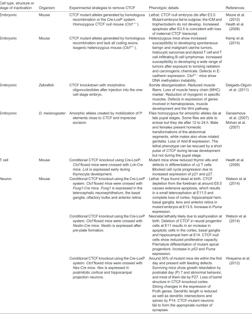 Table 1. Developmental defects associated with CTCF depletion