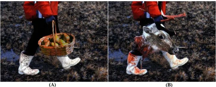 Figure 1. Images with different contextual cues evoke completely different emotions. The images are from the International Affective Picture System (IAPS) dataset [54]