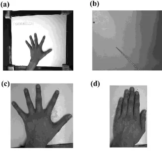 Figure 1: The experimental paradigm and examples of hand postures. Panel (a) shows an example of the photographs taken at the start and end of each block, showing the actual location of the hand