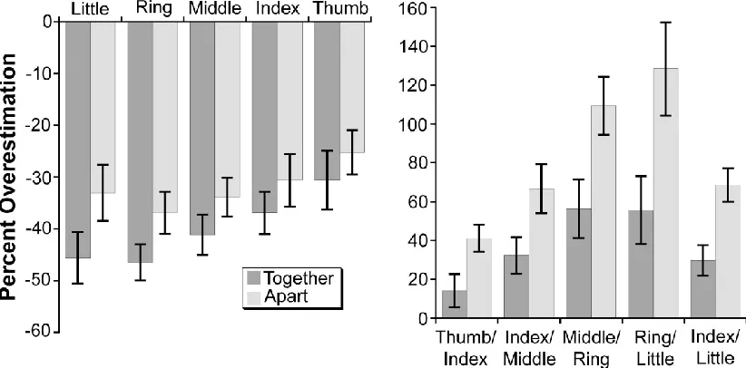 Figure 3: Percent overestimation of finger length (left panel) and knuckle spacing (right panel) for the Together and Apart postures