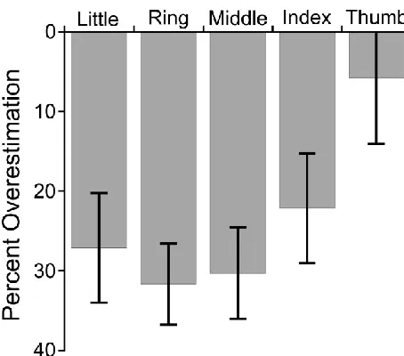 Figure 4: Percent overestimation of finger lengths in the verbal task of Exp. 1. Consistent with previous findings, clear underestimation was observed which increased from the radial to the ulnar side of the hand (i.e., from the thumb to the little finger
