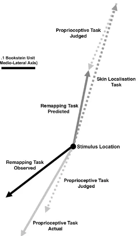 Figure 10: Constant errors in Exp. 2 depicted as vectors centred on stimulus location