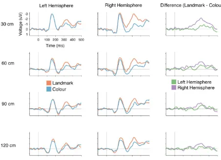 Figure 2: ERPs in the landmark and colour tasks for each viewing distance in the left hemisphere (left panel, channels PO3, PO7, P3, P7), right hemisphere (centre panel, channels PO4, PO8, P4, P8), and difference waveforms (landmark – colour) in both hemis