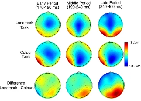 Figure 6: Scalp maps showing mean regression coefficients for the two conditions and their difference in each of the three phases