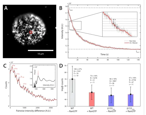 Figure 4. Photobleach step-counting of impβ at the NPC. (A) A 200-frame average image of impβ-mCherry at the basal envelope of the nucleus