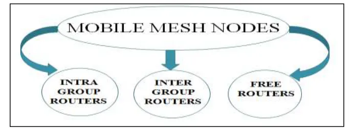 Fig. 2: AMMNET network 