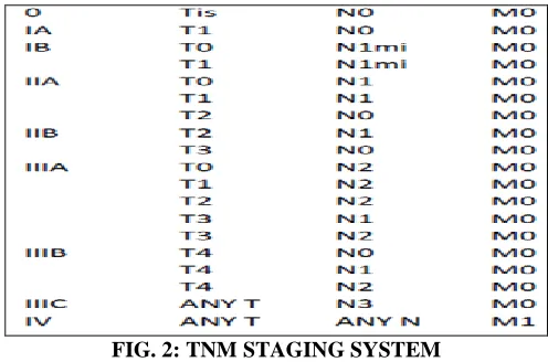 FIG. 2: TNM STAGING SYSTEM 