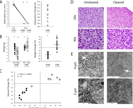 Fig. 2. CUBIC and BABB clearing of chicken embryo brains. (A,B) Symbols above graphs denote statistically significant differences; groups with differentBABB and CUBIC samples had significantly different weight changes (Mann−change and volume change
