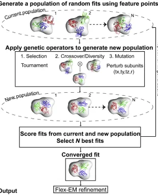 Figure 1. Schematic Diagram Describingthe Process of Fitting Multiple Componentsinto the Assembly Maps Using a GeneticAlgorithm