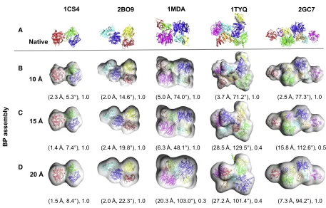 Figure 2. Representative Test Cases from the Simulated Benchmark(A) The structures of the native assemblies are shown with their PDB IDs.(B–D) The best-predicted (BP) assemblies found in the 20 GA runs using 10 A˚ (B), 15 A˚ (C), and 20 A˚ (D) simulated ma