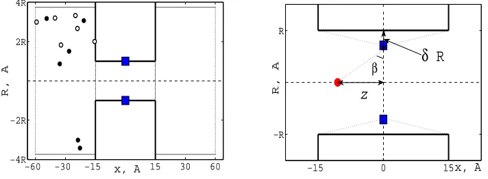 Figure 1.Left:location of the selectivity sitevertical axis is Sketch of the model.The middle block represents the protein,through which there is a cylindrical hole approximating the open ion channel