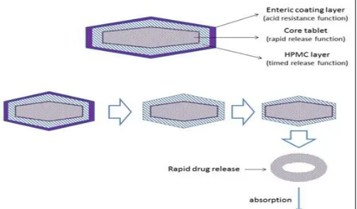 FIG. 5: RELEASE PATTERN OF DRUG FROM  CHRONOTROPIC SYSTEM 