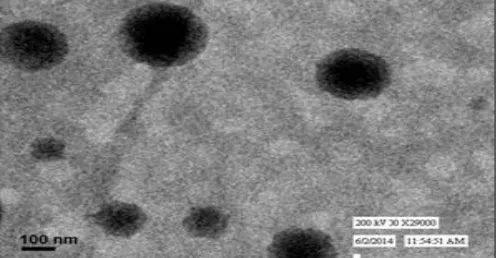 FIG. 4: TEM IMAGE OF CHITOSAN NANOPARTICLES 