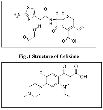Fig .1 Structure of Cefixime 