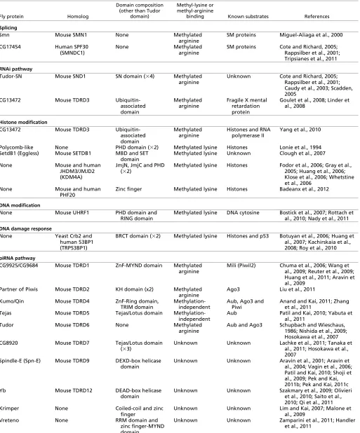 Table 1. List of Tudor domain proteins in different biological pathways 
