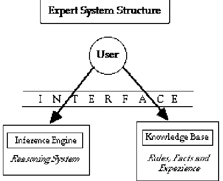 Fig. 1: Expert system structure 