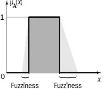 Fig. 2: Membership function and Fuzziness 