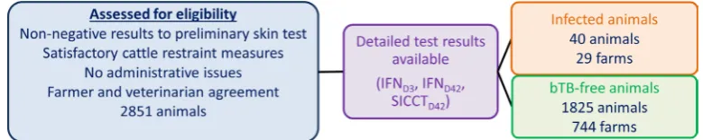 Table 1 Interpretation of IFN results according to the OD ratios obtained with PPD and MIX antigens