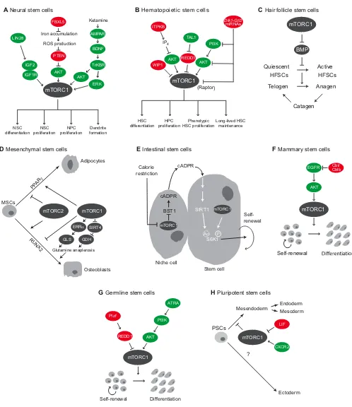 Fig. 4. See next page for legend.