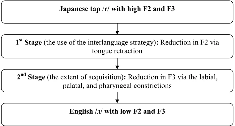 Figure 2. The acquisitional sequence of /ɹ/ by Japanese learners 