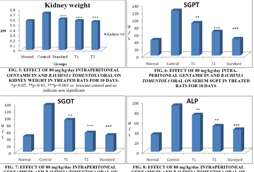 FIG. 7: EFFECT OF 80 mg/kg/day INTRAPERITONEAL GENTAMICIN AND BAUHINIA TOMENTOSA  ORAL ON SERUM SGOT IN TREATED RATS FOR 10 DAYS 