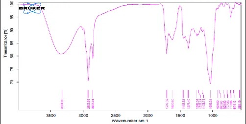 FIG. 1: FTIR SPECTRA OF MULBERRY LEAVES EXTRACT 