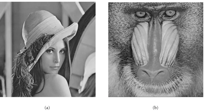 Figure 2: (a) Source image M0. (b) Embedded image M1.